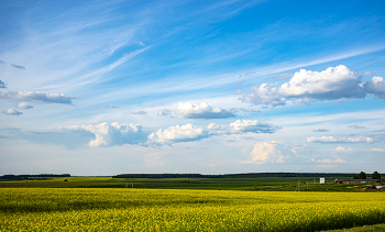 Native open spaces / ***