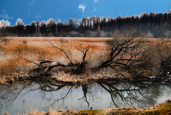 forest reserve / ***