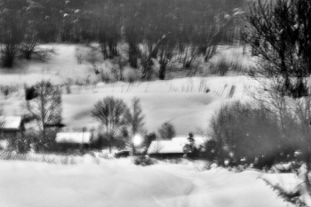 Life around / ***