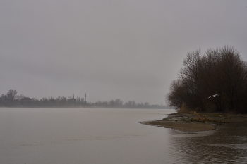 bad weather / ***