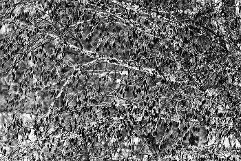 Life around / ***