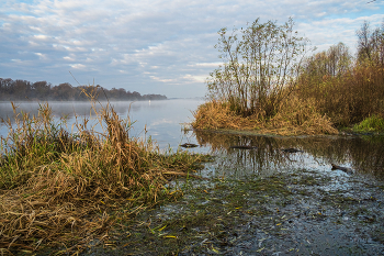 Autumn on the Oka River. / ***
