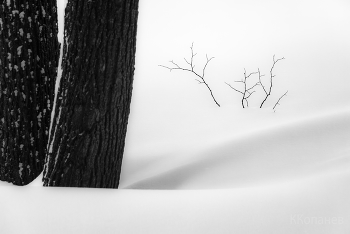 Sweeps / ***
