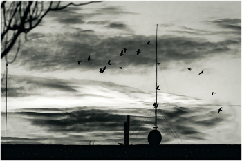 And from our window ... / ***