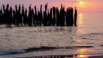 Melody sunset / ***