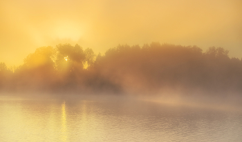 Gold Dawn / ***