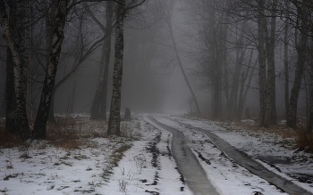 Foggy morning / ***