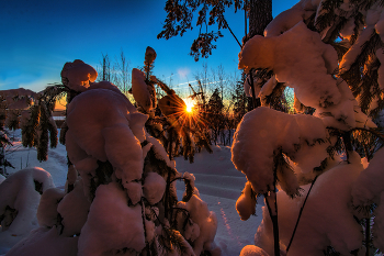 the morning sun / ***