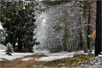 Pre-winter / ***