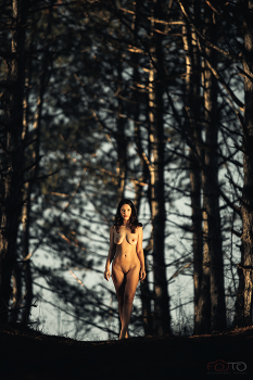 Path / ***