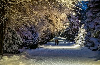Winter evening. / ***