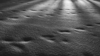 Life around / ***