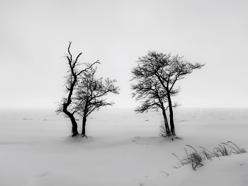 Snowstorm / ***