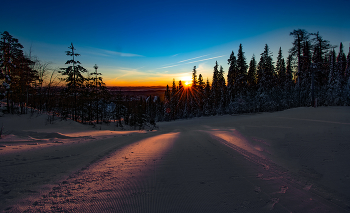 Morning Rays / ***