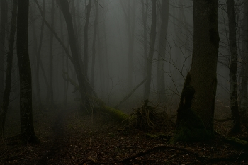 Misty / ***
