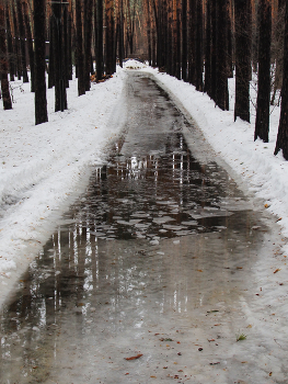 Thaw / ***