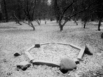 &nbsp; / ***