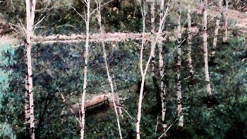 out the window / ***