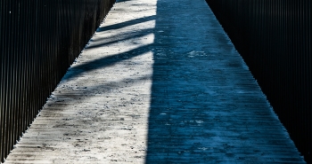 Half / ***
