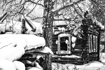 Life around / ***