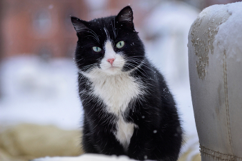 &nbsp; / ***