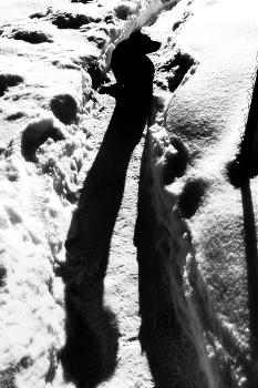 Life around / ***