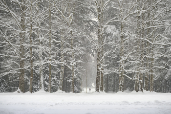 Pavlovsk / ***