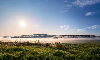 Foggy Hollow / ***