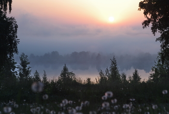Kirillov / ***