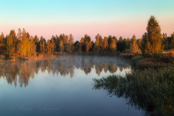 No name / ***