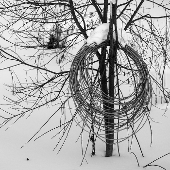 Life around / ***