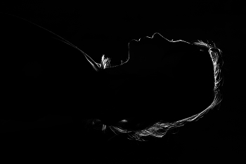 Silhouette. / ***