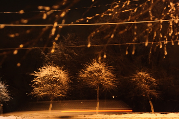 Melancholy / ***