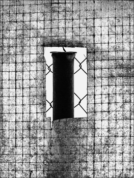 Life around / ***