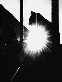 Life around / ***