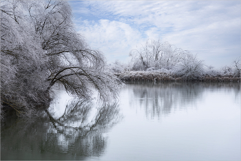 Snowstorm / ***