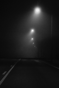 Life around / ***