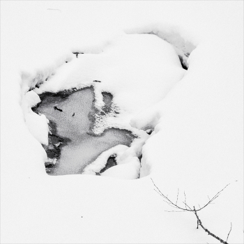 Life around / ***