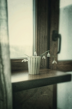 The first ... / ***