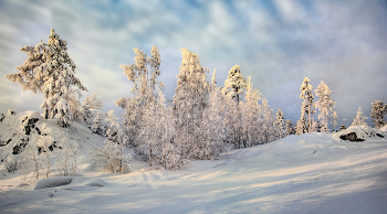 Winter in the mountains / ***