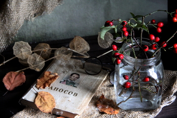 Still life / ***