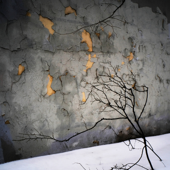 Spring light / ***