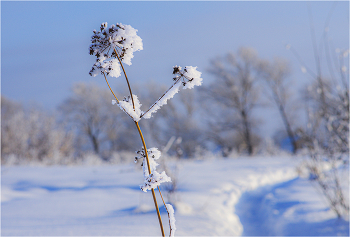 Winter etude / ***
