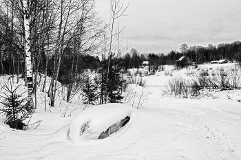 Life around / ***