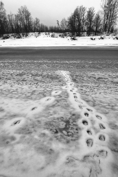 Life around / ***