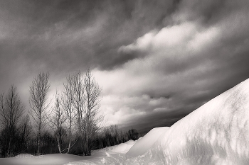 Nature / ***
