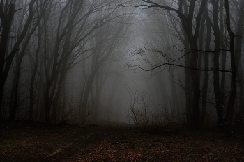 Misty / ***
