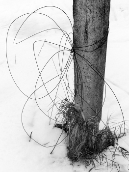 Life around / ***