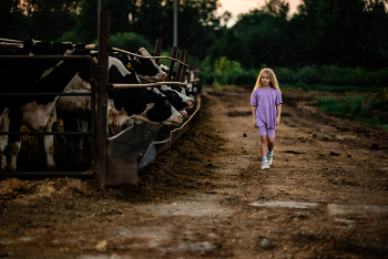On the farm / ***