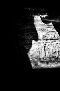 Life around / ***